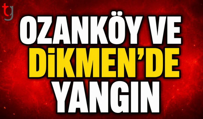 Ozanköy ve Dikmen-Boğazköy’de Yangın: Ambar ve Araç Zarar Gördü