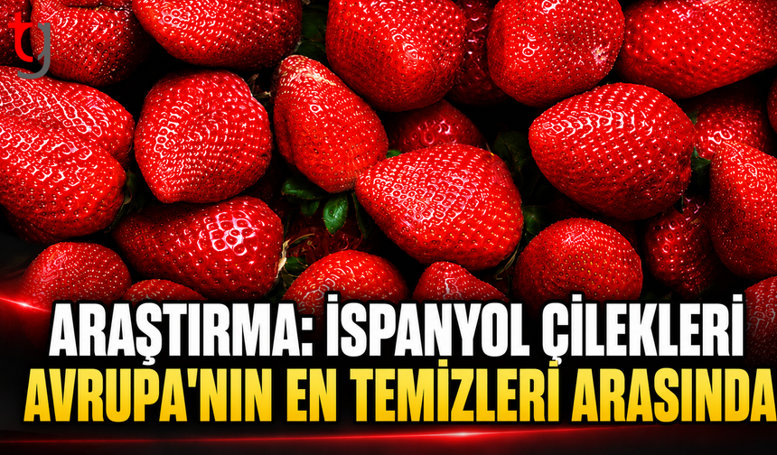 Araştırma: İspanyol Çilekleri Avrupa'nın En Temizleri Arasında