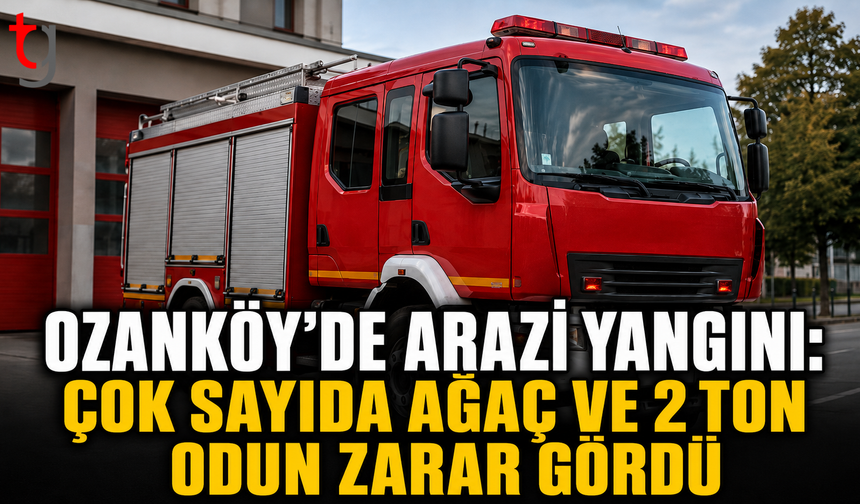 Ozanköy’de Arazi Yangını: Çok Sayıda Ağaç ve 2 Ton Odun Zarar Gördü