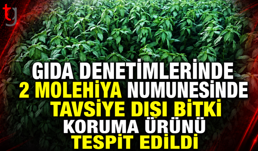 Gıda Denetimlerinde 2 Molehiya Numunesinde Tavsiye Dışı Bitki Koruma Ürünü Tespit Edildi