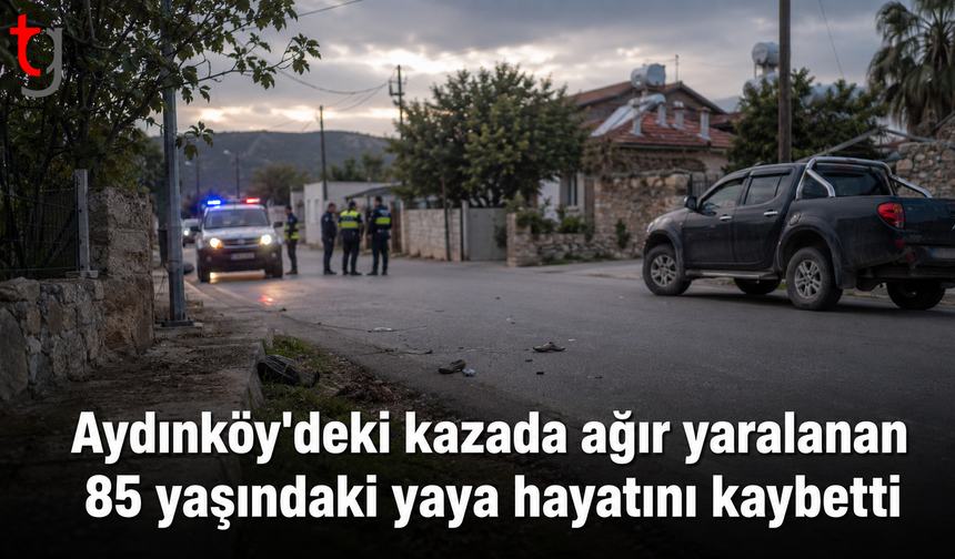 Aydınköy’deki Kazada Ağır Yaralanan 85 Yaşındaki Yaya Hayatını Kaybetti