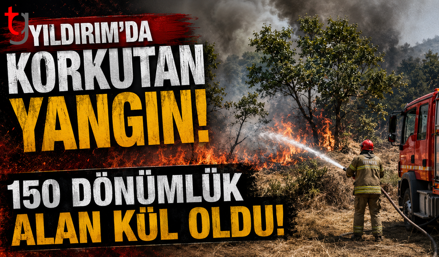 Yıldırım’da Korkutan Yangın: 150 Dönümlük Alan Kül Oldu!