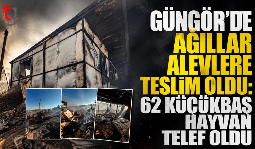Güngör’de Ağıllar Alevlere Teslim Oldu: 62 Küçükbaş Hayvan Telef Oldu
