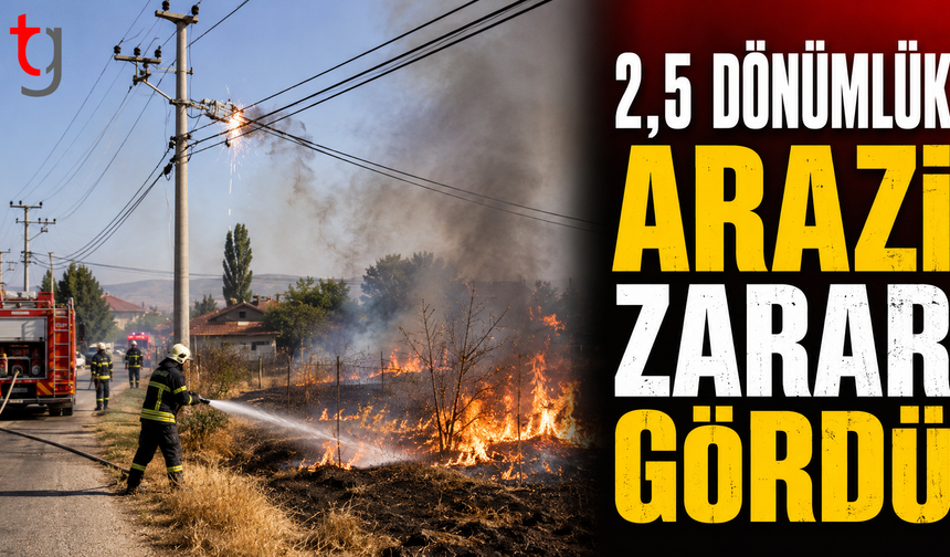 Tepebaşı’nda Yangın: 2,5 Dönümlük Arazi Zarar Gördü