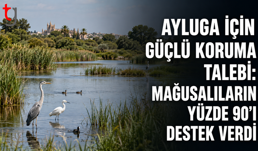 Ayluga İçin Güçlü Koruma Talebi: Mağusalıların Yüzde 90’ı Destek Verdi