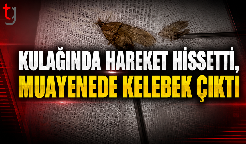 Kulağındaki Hareketten Şüphelendi, Doktor Kelebekle Karşılaştı