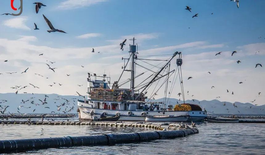 Palamut ve Torik Av Sezonu Küçük Balıkçılar İçin 15 Ağustos’ta Başlıyor