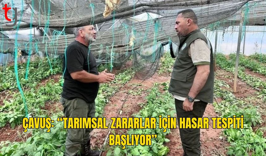 Çavuş Güneşköy ve Aydınköy’de: Tarımsal Hasar Tespit Çalışmaları Başlıyor