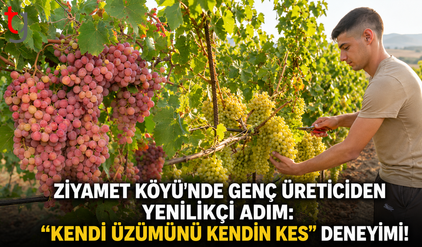 Ziyamet Köyü’nde Genç Üreticiden Yenilikçi Adım: "Kendi Üzümünü Kendin Kes" Deneyimi!
