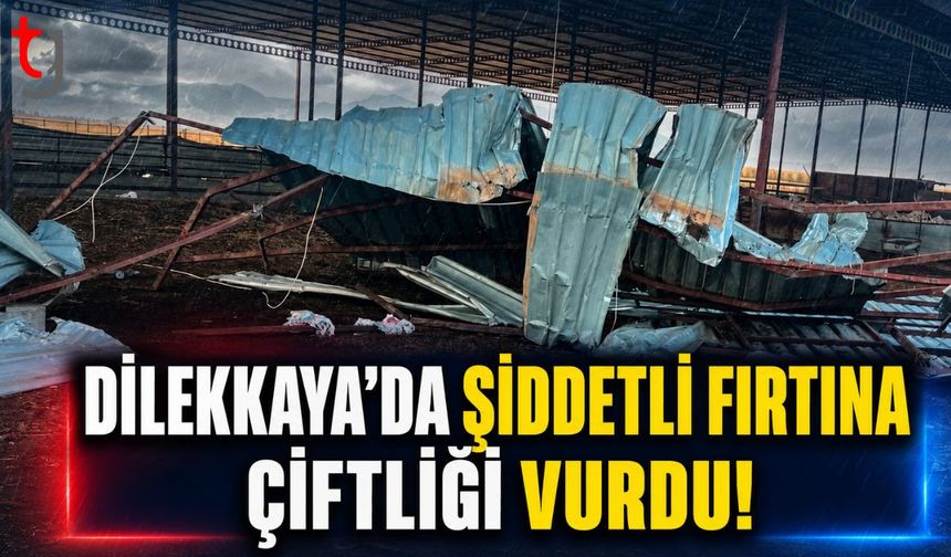 Dilekkaya’da Şiddetli Fırtına Çiftliği Vurdu!