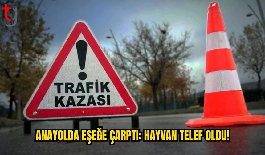 Yeşilköy-Erenköy Anayolu’nda Araç Eşeğe Çarptı