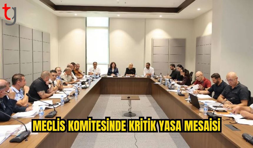 Meclis Komitesi İki Yasa Tasarısını Görüştü, Bir Karar Tasarısını Onayladı