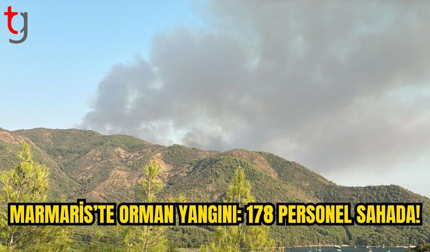 Marmaris’te Orman Yangını: Ekipler Havadan ve Karadan Müdahale Ediyor