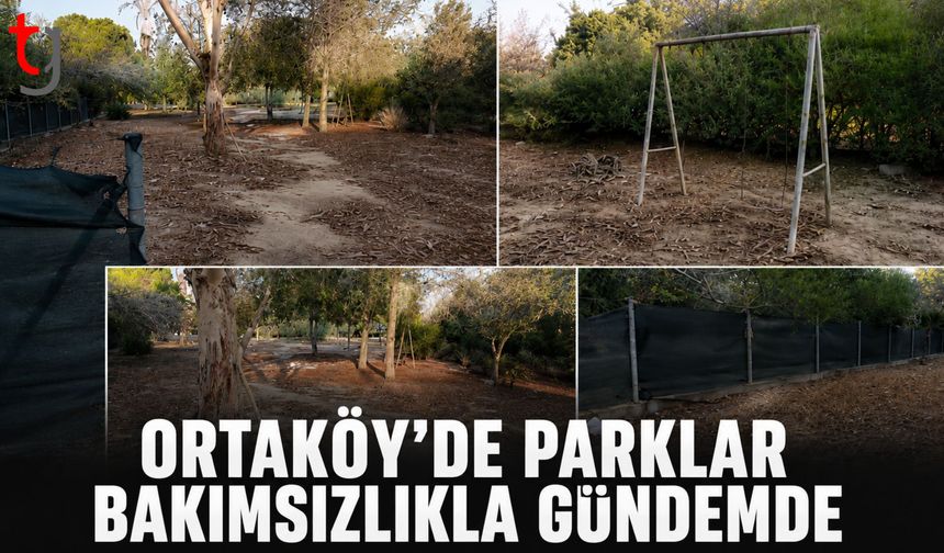 Ortaköy’de Parklar Bakımsızlıkla G