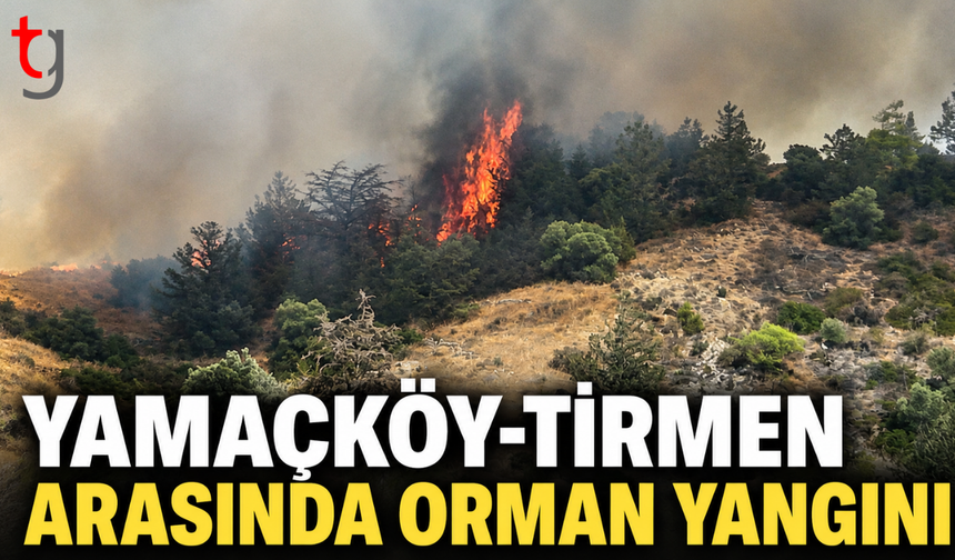 Yamaçköy-Tirmen Arasında Orman Yangını: Ekipler Karadan ve Havadan Müdahale Ediyor