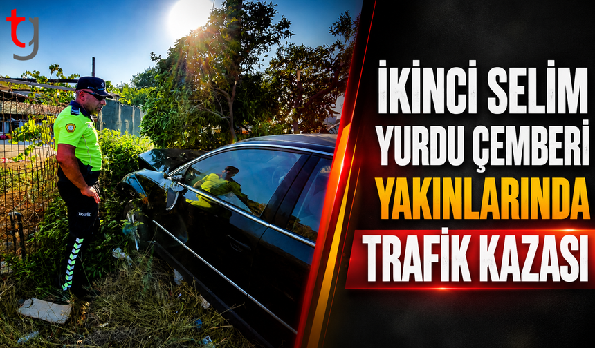 Güzelyurt’ta Araç Direğe ve Ağaca Çarptı