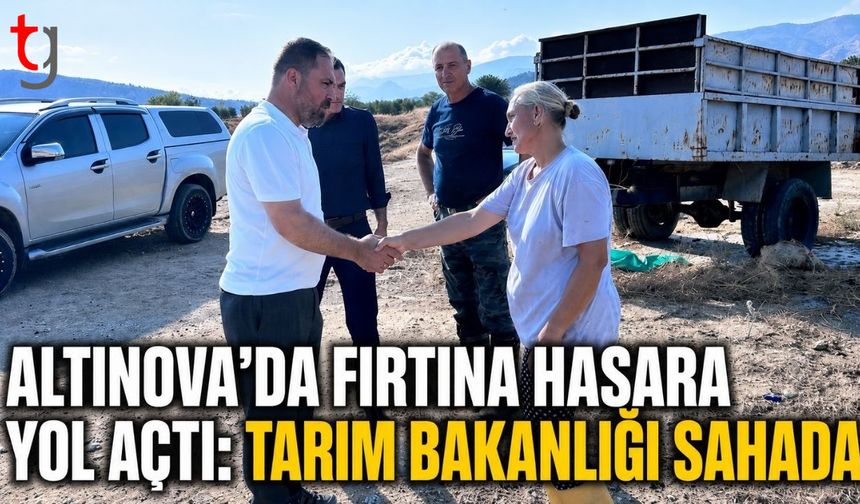 Altınova’da Fırtına Hasara Yol Açtı: Tarım Bakanlığı Sahada