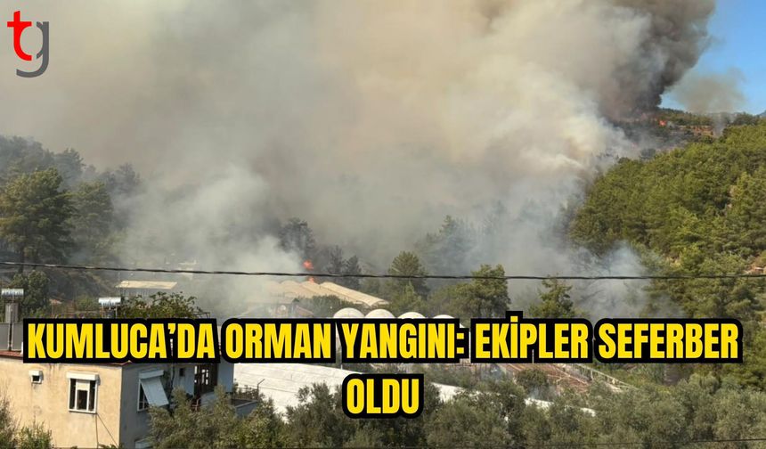 ANTALYA KUMLUCA’DA ORMAN YANGINI