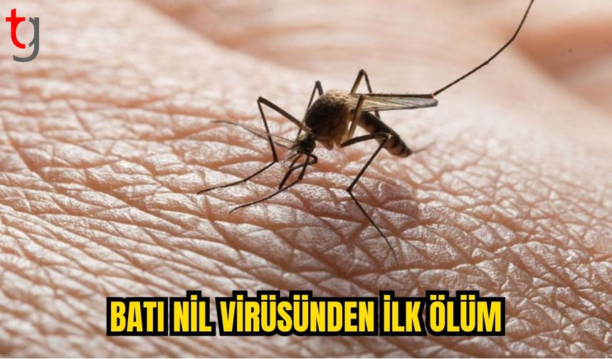 GÜNEY KIBRIS’TA BATI NİL VİRÜSÜNDEN İLK CAN KAYBI