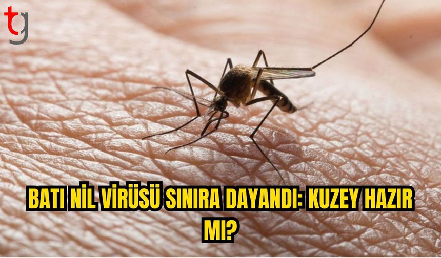 BATI NİL VİRÜSÜ SINIRA DAYANDI