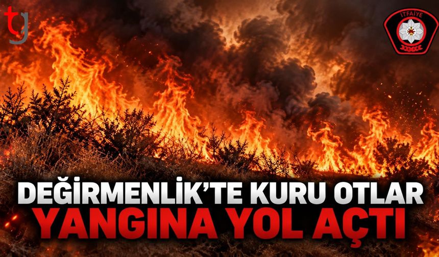 Değirmenlik’te kuru ot yangını 25 dönümlük alana yayıldı