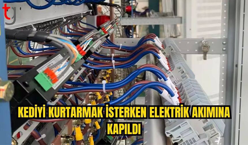 GİRNE’DE KEDİYİ KURTARMAK İSTERKEN ELEKTRİK AKIMINA KAPILDI