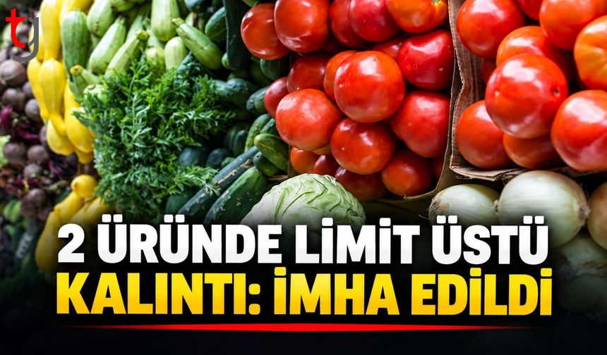 HAFTALIK GIDA DENETİMİ
