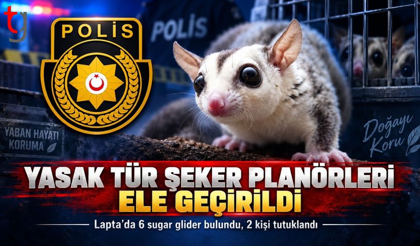 Lapta’da 6 Şeker Planörü ele geçirildi: 2 kişi tutuklandı