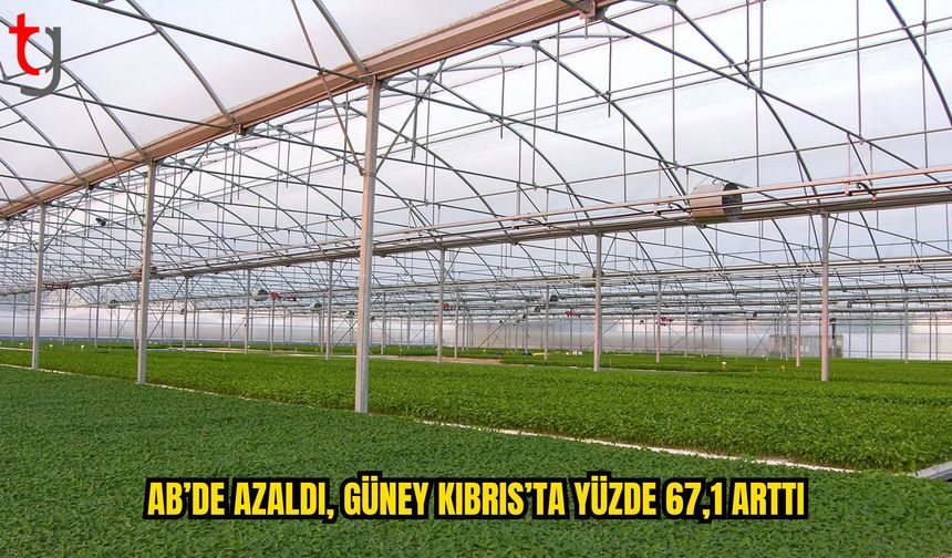 Güney Kıbrıs’ta Sera Gazı Salınımı 1990’dan Bu Yana Yüzde 67,1 Arttı