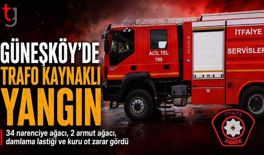 Güneşköy’de Bahçe Yangını: 36 Meyve Ağacı Zarar Gördü