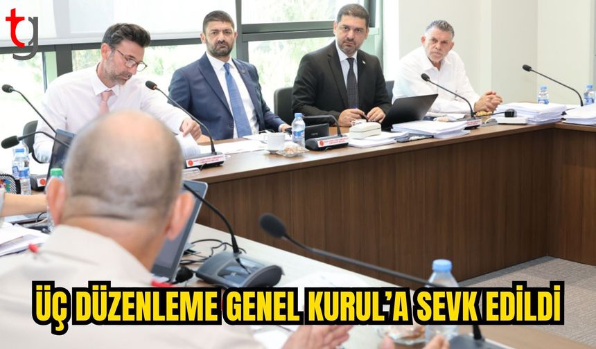 İDARİ KOMİTE’DEN ÜÇ DÜZENLEMEYE ONAY
