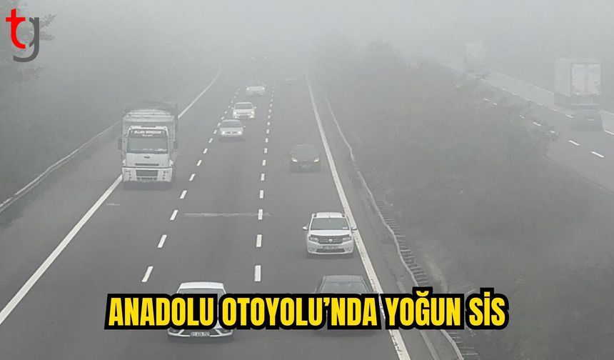 ANADOLU OTOYOLU’NDA YOĞUN SİS