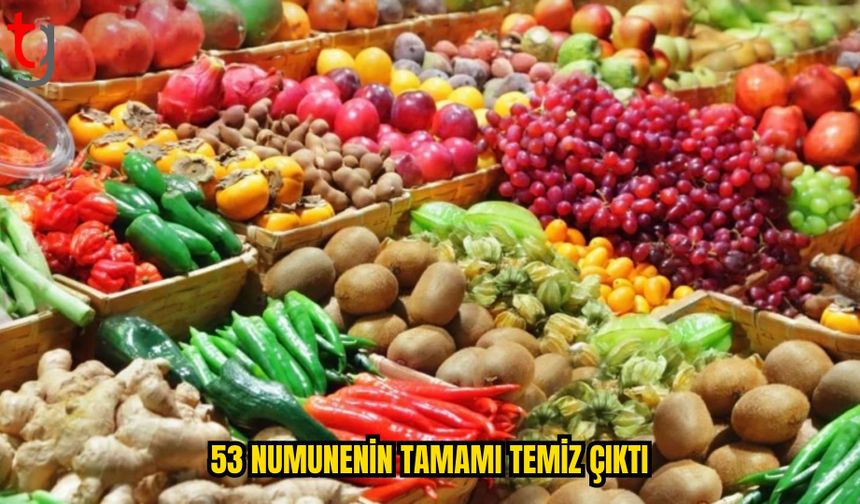 GIDA DENETİMLERİNDE TÜM NUMUNELER TEMİZ ÇIKTI