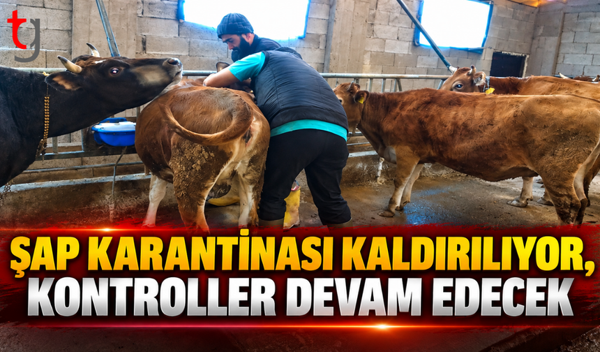 ŞAP KARANTİNASI KALDIRILIYOR, KONTROLLER DEVAM EDECEK