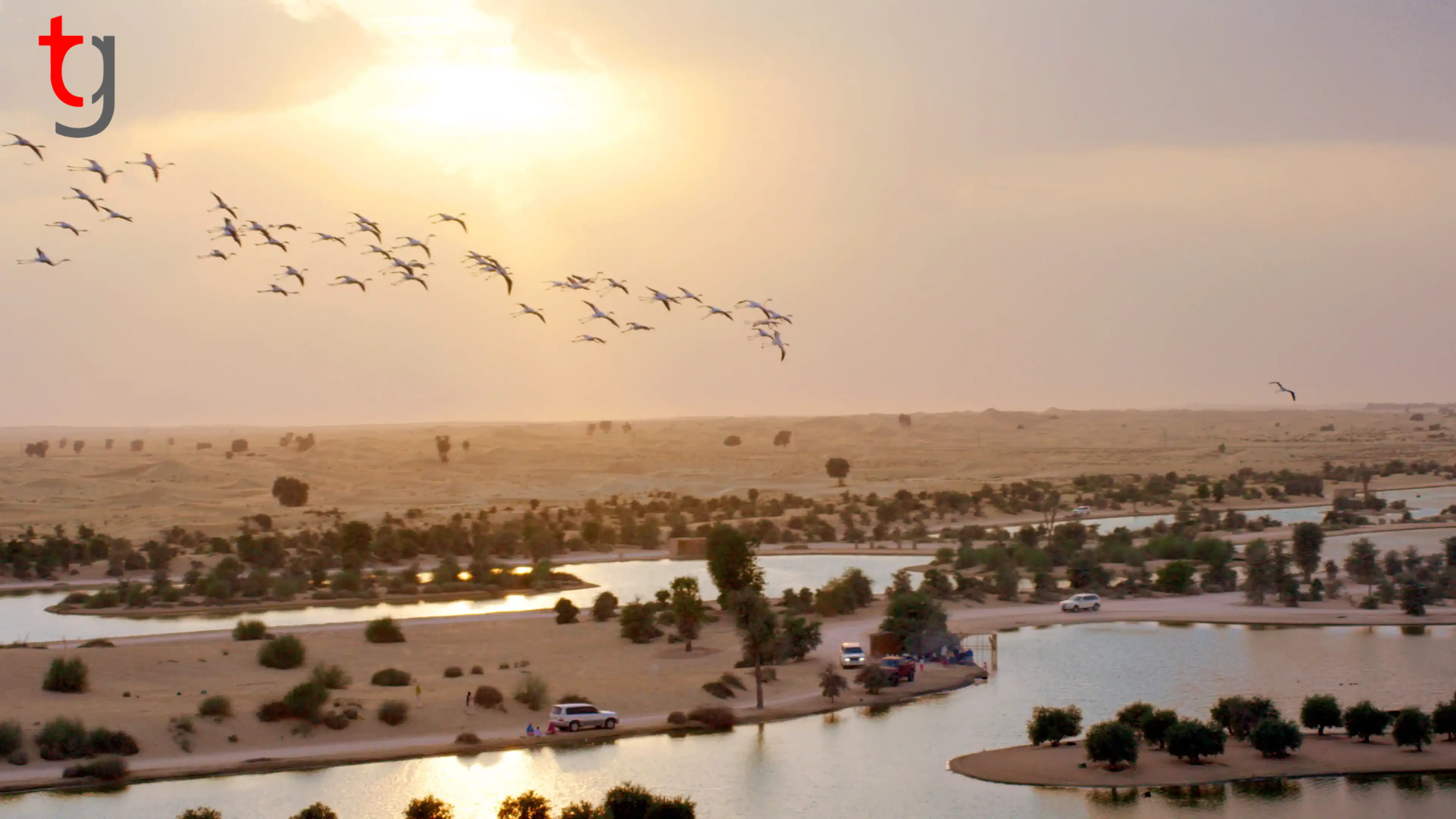 Al Qudra Lakes