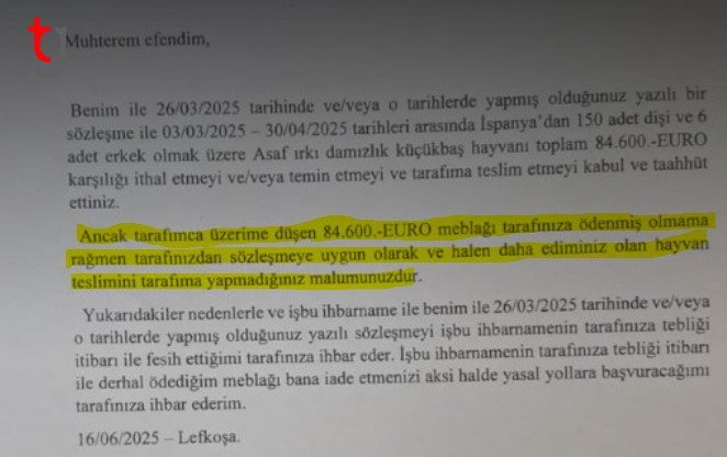 Ekran Görüntüsü 2025 06 21 202104