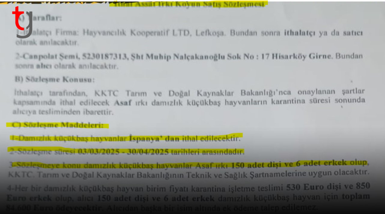 Ekran Görüntüsü 2025 06 21 210518