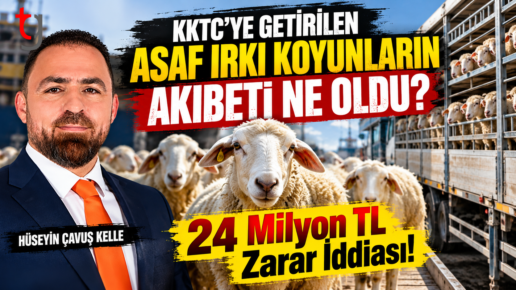 KKTC’YE GETİRİLEN ASAF IRKI KOYUNLARIN AKIBETİ NE OLDU? 24 MİLYON TL ZARAR İDDİASI !